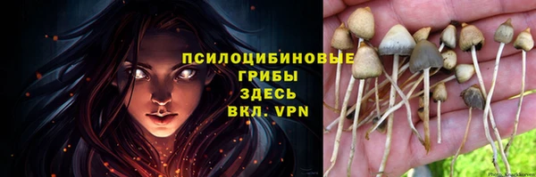 спиды Армянск