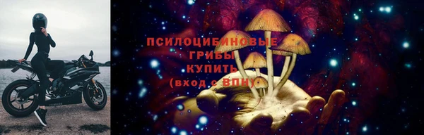 стаф Алексеевка