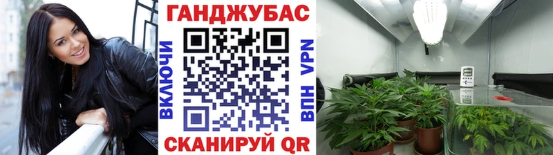 продажа наркотиков Чапаевск Каннабис гибрид
